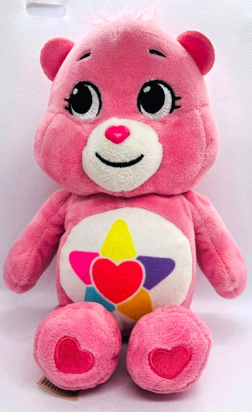 Care Bears True Valentine Heart Bear Plush Pink 10 Inch Stuffed Animal.2022 - Picture 1 of 4